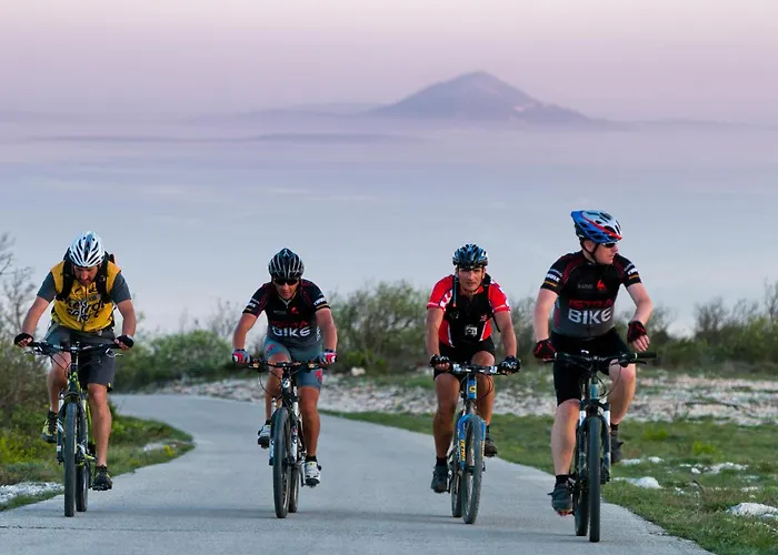 Skitaca 09 * Šajini